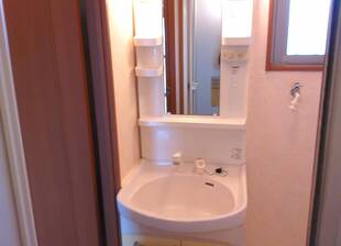 シャンプードレッサー