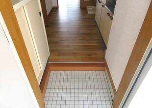 Pic1