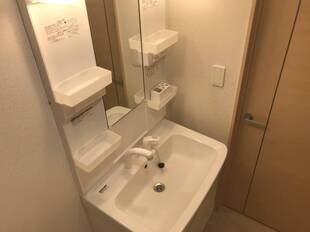 シャンプードレッサー