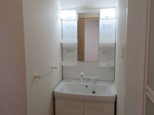 シャンプードレッサー