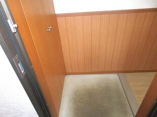 Pic1