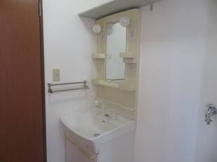 シャンプードレッサー