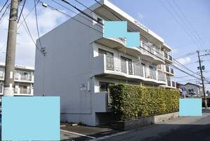 ホワイトハイツⅡ (延岡市 出北)<2LDK>