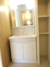 シャンプードレッサー