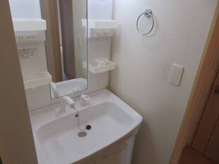 シャンプードレッサー