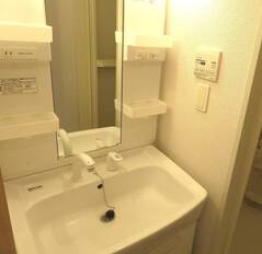 シャンプードレッサー