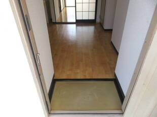 Pic1