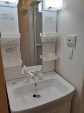 シャンプードレッサー