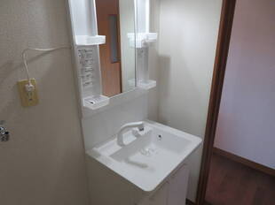 シャンプードレッサー