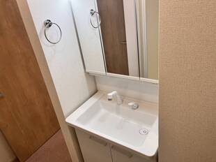 シャンプドレッサー