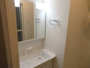 シャンプードレッサー