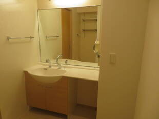 シャンプードレッサー