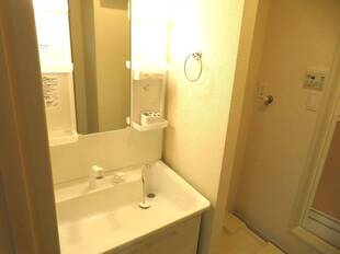 シャンプードレッサー