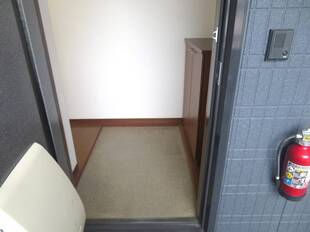 Pic1