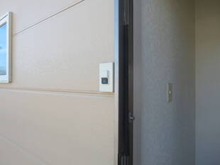 Pic1