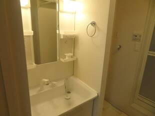 シャンプードレッサー