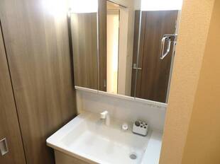 シャンプードレッサー