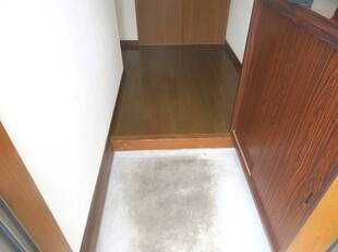 Pic1