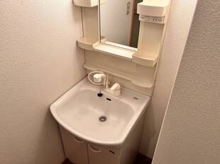 シャンプードレッサー