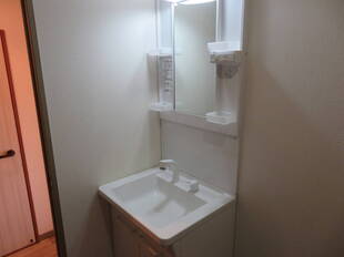 シャンプードレッサー