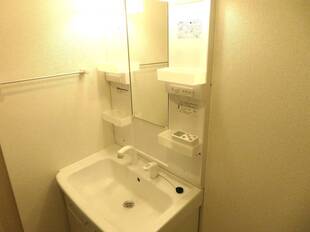 シャンプードレッサー