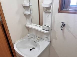 シャンプードレッサー