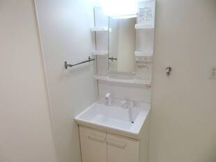 シャンプードレッサー