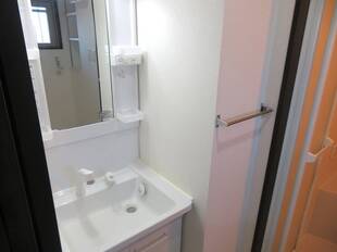 シャンプードレッサー