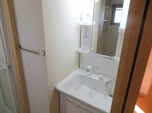 シャンプードレッサー