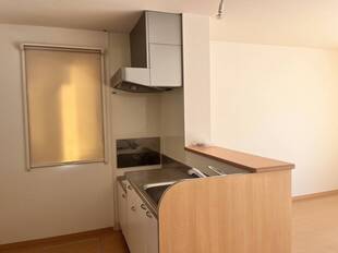 カウンターキッチン