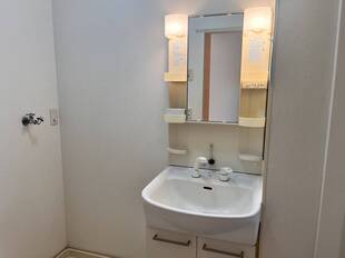 シャンプードレッサー