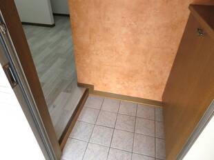 Pic1