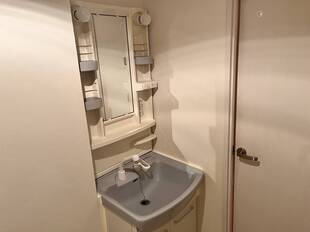 シャンプードレッサー