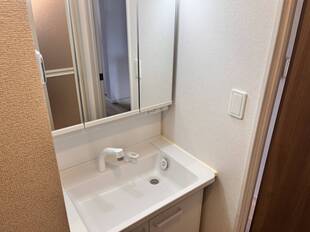 シャンプードレッサー