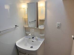 シャンプードレッサー