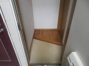Pic1