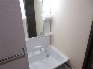 シャンプードレッサー