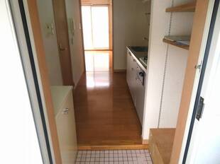 Pic1