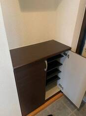 Pic1
