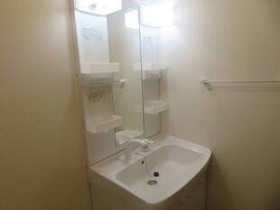 シャンプードレッサー