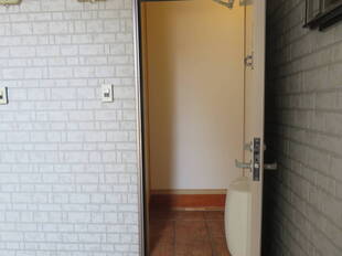 Pic1