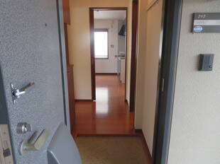 Pic1