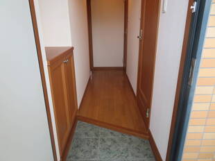 Pic1