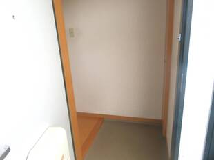 Pic1