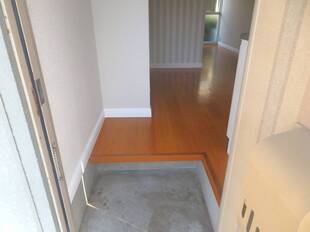 Pic1