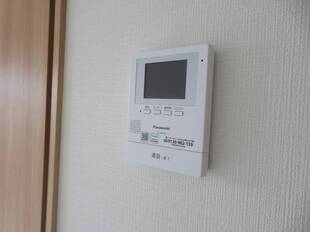 Pic21