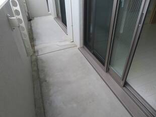 Pic23