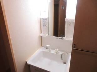 シャンプードレッサー