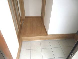 Pic1