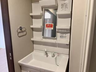 シャンプードレッサー